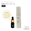 【キャンペーン価格】 CBD エナジークリーム 30ml(いまだけハイパフォーマンスエッセンスミニ5ml付き)