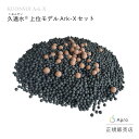 上位モデル久遠水Ark-X