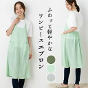 レーヨンフレックス ワンピースエプロン 無地 薄手 ホルターネックエプロン おしゃれ かわいい プレゼント ギフト【メール便1枚のみ送料無料】【N】【M】