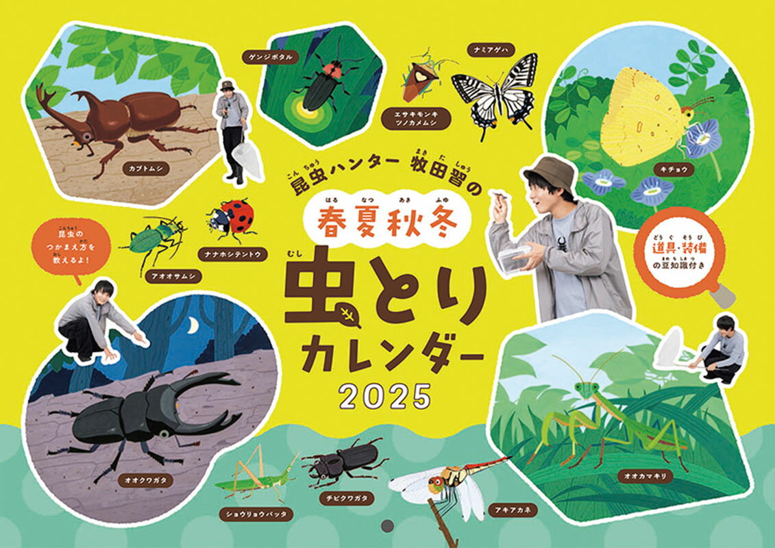 【送料込み】【取寄商品】 2025年カレンダー昆虫ハンター 虫とりカレンダー25CL-0621[10/12発売]