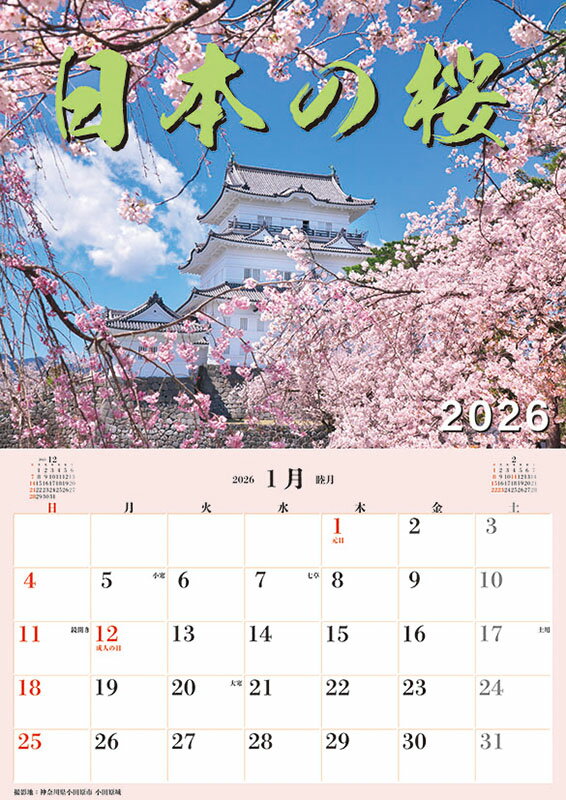【送料込み】【取寄商品】 2026年カレンダージャンボ「日本の桜」スケジュール26CL-0471[9/20発売]