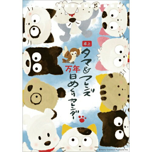 【送料込み】【取寄商品】 2026年カレンダー卓上 タマ＆フレンズ万年日めくり26CL-4111[9/20発売]