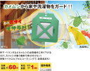 ストップカメムシ!!2個組