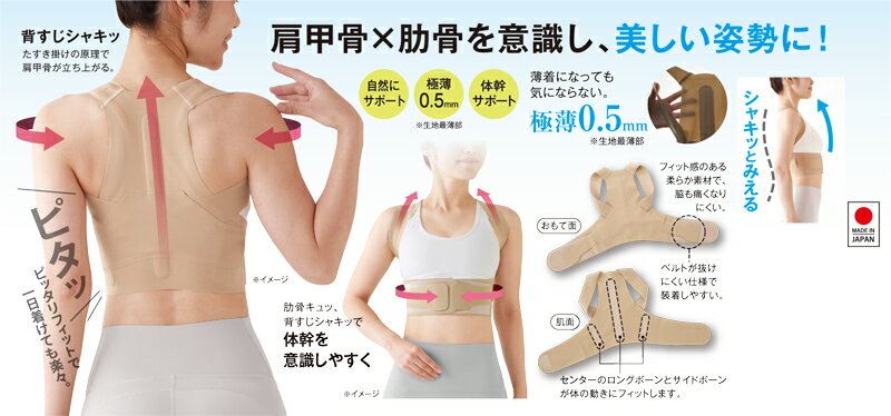 お医者さんの体幹姿勢サポーターピタ肌