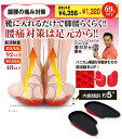 KINKATSU脚・腰エクサインソール(4)