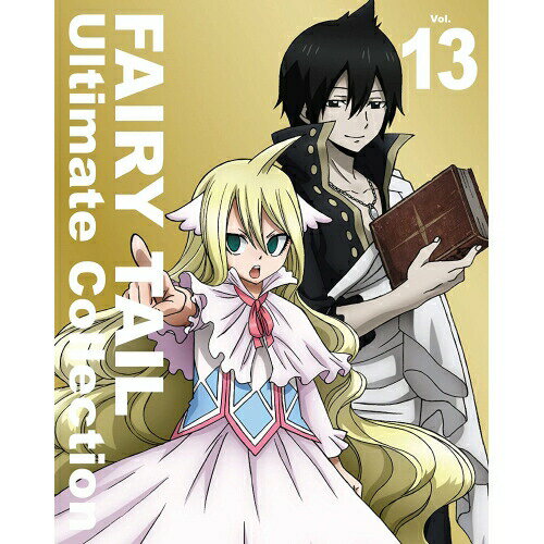 BD / TVアニメ / FAIRY TAIL Ultimate Collection Vol.13(Blu-ray) (4Blu-ray+CD) / EYXA-12277