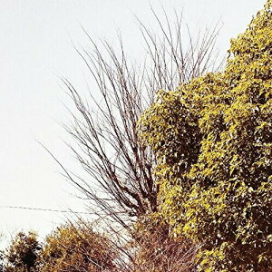 【取寄商品】 CD / 笹倉慎介 / TIME STREAM season1 (紙ジャケット) / TOCL-1