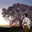 CD / 藤原道山 / 季 TOKI -春- / COCQ-85043 2,420円