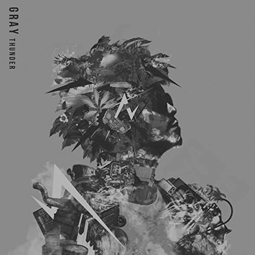 ڼʡ CD / THUNDER / GRAY / 09NCD-6