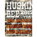DVD / HUSKING BEE / HUSKING BEE 2012 LIVE at AIR JAM 2012, BAD FOOD STUFF, DEVIL...