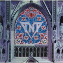 CD / TNT / インテュイション (SHM-CD) (解説歌詞対訳付) / UICY-25143