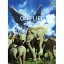 DVD / 洋画 / ライフ いのちをつなぐ物語 プレミアム・エディション (本編ディスク+特典ディスク) / AVBF-49398