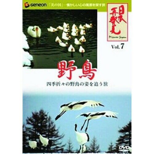 DVD / 趣味教養 / 日本再発見 VOL.7〜野鳥〜 / GNBW-1086