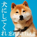 CD / 忘れらんねえよ / 犬にしてくれ (CD+DVD) (初回盤) / VPCC-80675