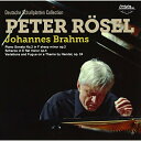 CD / ペーター・レーゼル / レーゼルのブラームス 2 (解説付) (来日記念盤) / KICC-1042