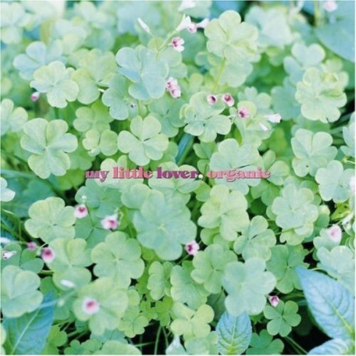 楽天エプロン会　楽天市場店CD / My Little Lover / organic （廉価盤） / AVCD-23613