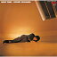 CD / 菅原進 / ナイト・スマイル (解説付) / UPCY-7368 2,640円