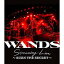 BD / WANDS / WANDS Streaming Live BURN THE SECRET(Blu-ray) / GZXD-8001