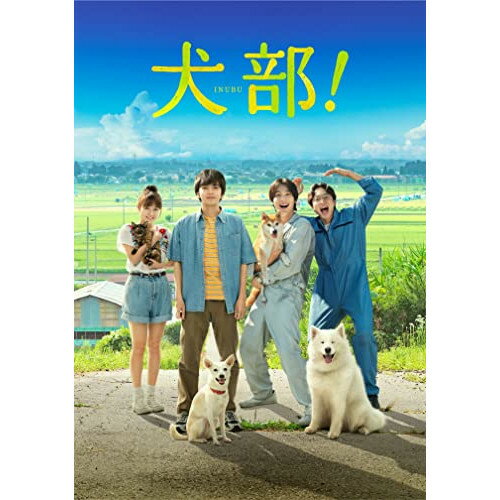 BD / 邦画 / 犬部! 豪華版(Blu-ray) (豪華版) / VPXT-71883