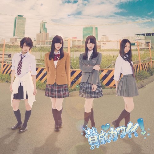 CD / SKE48 / 賛成カワイイ! (CD+DVD) (通常盤/Type-B) / AVCD-48850