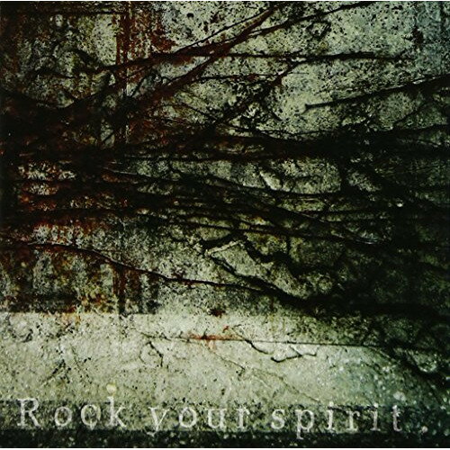 CD / Re;dis / Rock your spirit / SRR-2