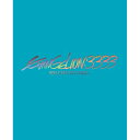 BD / 劇場アニメ / ヱヴァンゲリヲン新劇場版:Q EVANGELION:3.333 YOU CAN(NOT) REDO.(Blu-ray) (Blu-ra...