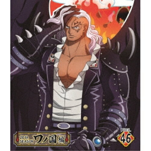 BD / TV 애니메이션 / ONE PIECE 원피스 20TH 시즌 와노 국편 PIECE.46 (Blu-ray) / EYXA-14173