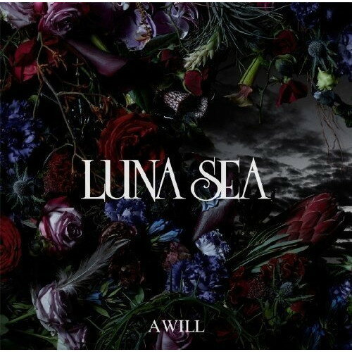 CD / LUNA SEA / A WILL (通常盤) / UPCH-1953