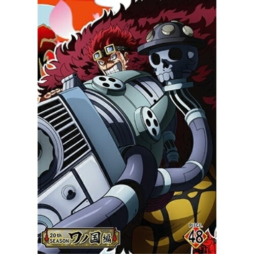 DVD / TV 애니메이션 / ONE PIECE 원피스 20TH 시즌 와노 국편 PIECE.48 / EYBA-14236