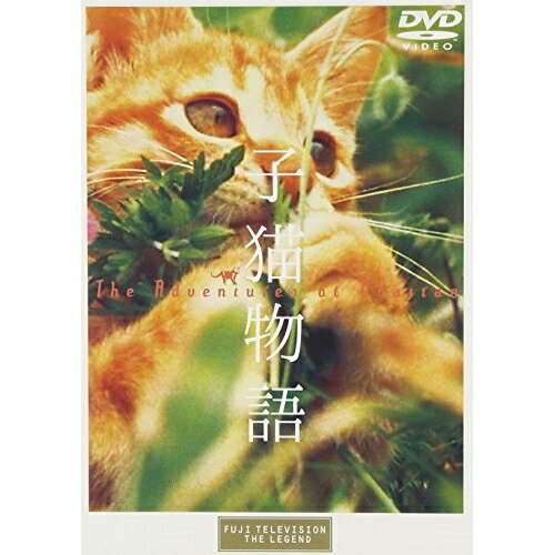 DVD / 邦画 / 子猫物語 / PCBC-50120