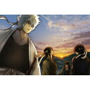 DVD / TVアニメ / 銀魂 シーズン其ノ参 13 (低価格版) / ANSB-2763