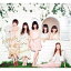 CD / AKB48 / ʱץå㡼 (CD+DVD) (TYPE-B) / KIZM-187