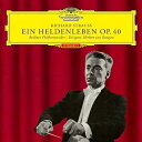 SACD / ヘルベルト・フォン・カラヤン / R.シュトラウス:交響詩(英雄の生涯) (SHM-SACD) (紙ジャケット) (初回生産限定盤) / UCGG...