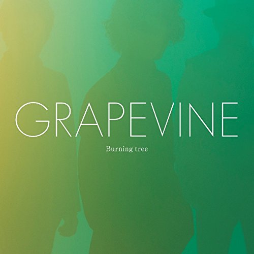 CD / GRAPEVINE / Burning tree (歌詞付) (通常盤) / VICL-64266