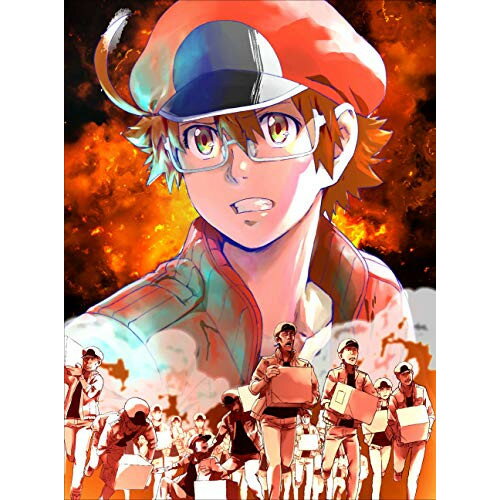 DVD / TV���˥� / �Ϥ��餯��˦BLACK 1 (DVD+CD) (��������������) / ANZB-15101