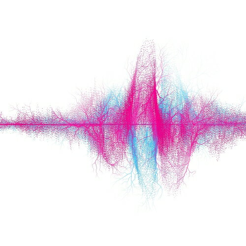 CD / SUPER BEAVER / 音楽 (CD+Blu-ray) (初回生産限定盤A) / SRCL-12771