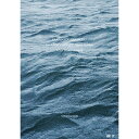 DVD / サカナクション / SAKANAQUARIUM2017 10th ANNIVERSARY Arena Session 6.1ch Sound Aro...
