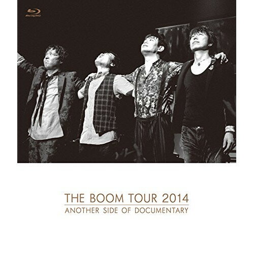 BD / THE BOOM / THE BOOM TOUR 2014 ANOTHER SIDE OF DOCUMENTARY(Blu-ray) / YRXN-80005