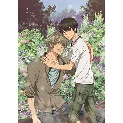 Rakuten - DVD / TVアニメ / SUPER LOVERS 2 第4巻 (DVD+CD) (限定版) / KABA-10513