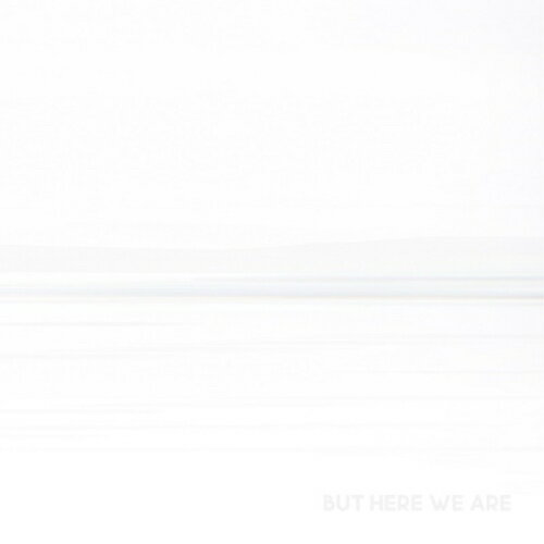 CD / フー・ファイターズ / バット・ヒア・ウィ・アー (解説歌詞対訳付/紙ジャケット) / SICP-6519