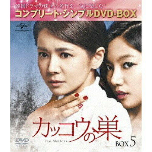 DVD / TVɥ / å BOX5(ץ꡼ȡץDVD-BOX) (ָڥץ饤()) / GNBF-5184