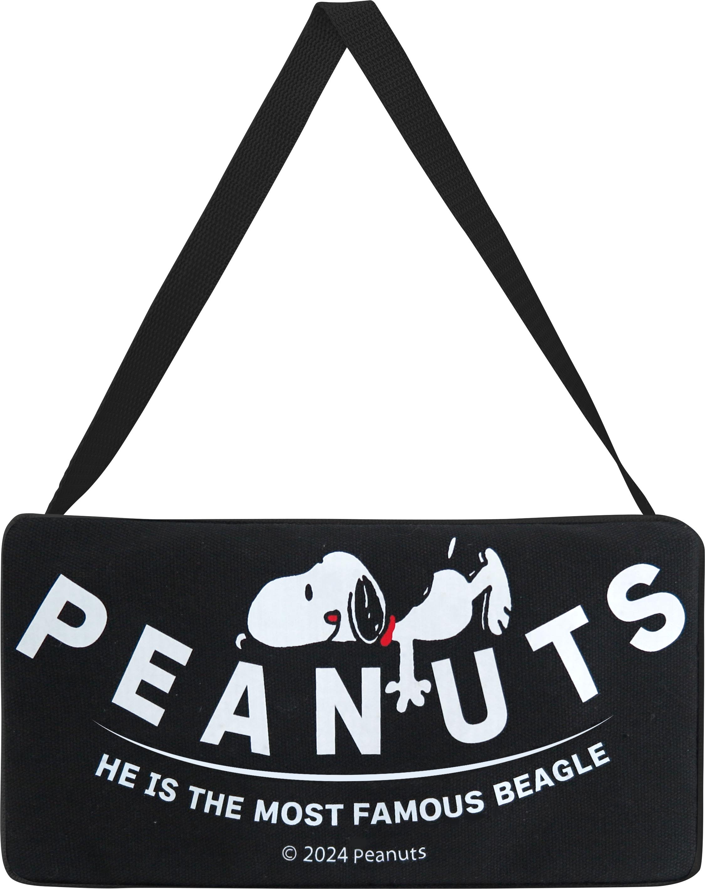 【送料無料】 ティッシュケース スヌーピー ブラック三金商事株式会社