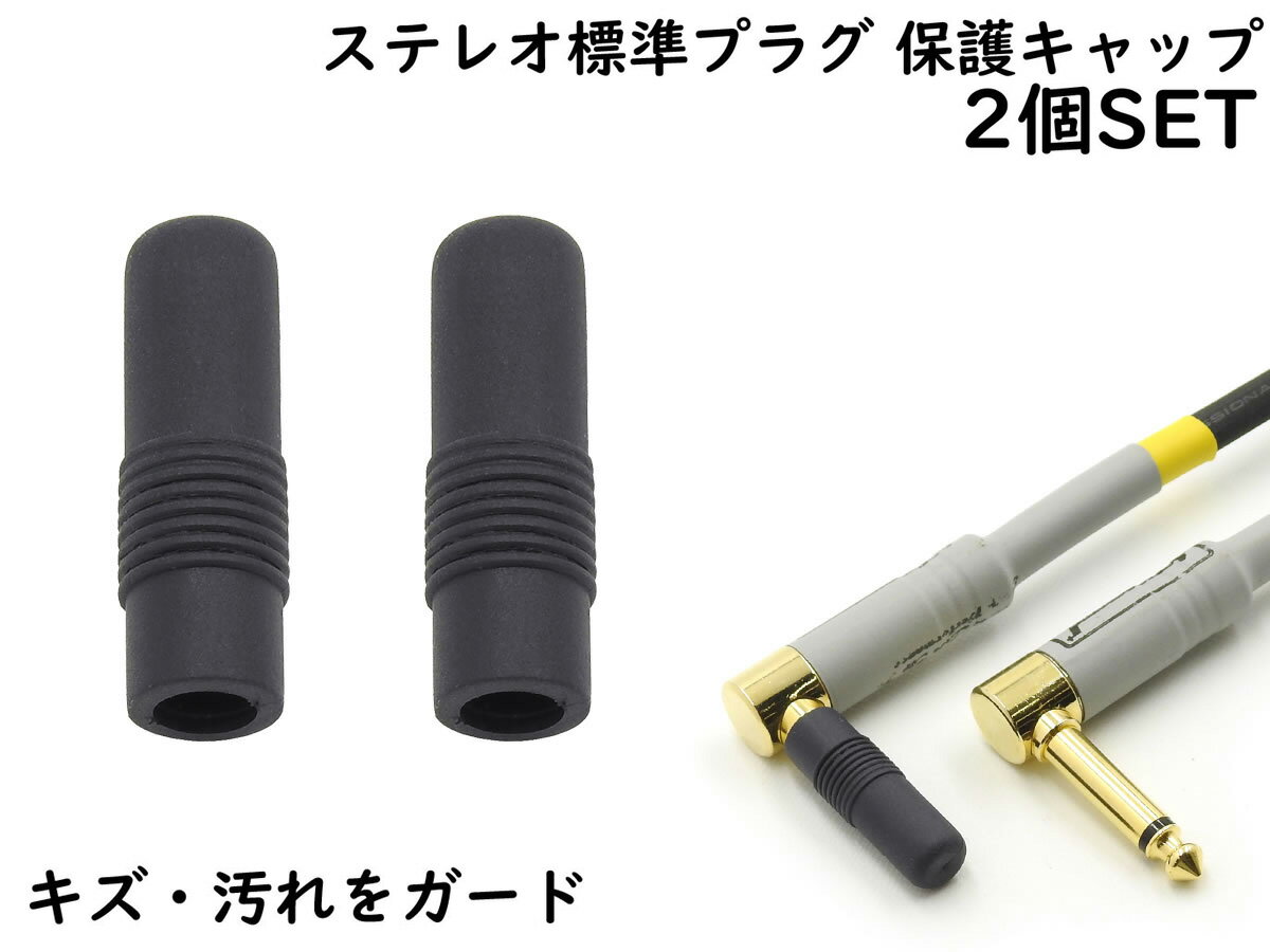 ANE ステレオ標準プラグ (6.3mm) 用 保