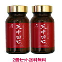 『天中田七(てんちゅうでんしち)2個セット』もちろん【送料無料】