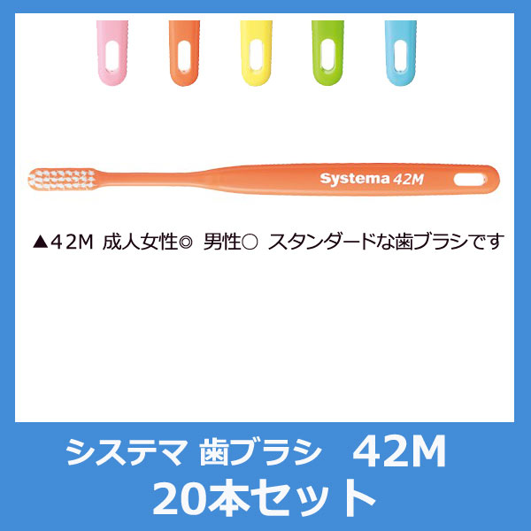 【セット】歯ブラシ ライオン システマ 歯ブラ...の紹介画像2