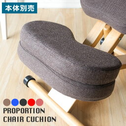 プロポーションチェア用補助クッション（本体別売り） 幅46×奥行25.5～103×高さ5.5cm アクリル 合板 ウレタン 完成品 ブルー レッド ブラウン ローズ ブラック cn-8c【北海道・沖縄・離島以外送料無料】