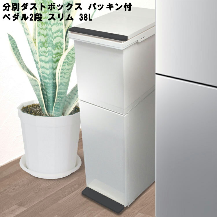 分別ダストボックス パッキン付 ペダル 2段 スリム 38L【ゴミ箱 ダストBOX 分別 キッチン 屋内 アスベル】