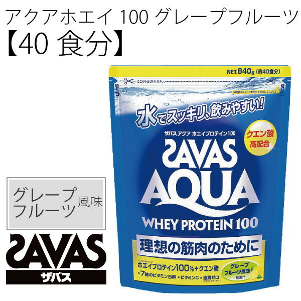 ザバス ホエイプロテイン 100 リッチショコラ味 みんな探してる人気モノ ザバス ホエイプロテイン 100 リッチショコラ味 スポーツ アウトドア