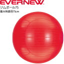 送料無料 バランスボール エバニュー EVERNEW ジムボール75 ポンプ付 最大時直径75cm 適応身長175cm以上/トレーニング・フィットネス 体幹 イ...