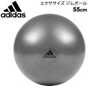 バランスボール アディダス adidas エクササイズ ジムボール ポンプ付き 最大時直径55cm/トレーニング フィットネス 体幹 インナーマッスル 体育用品 用具 器具 用品 グレー/ADBL11245【取寄】